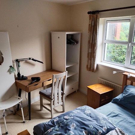 Crescent Apartments Homestay Корк Екстериор снимка
