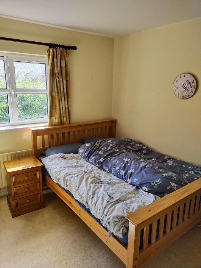 Crescent Apartments Homestay Корк Екстериор снимка